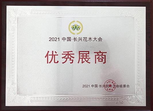 北美海棠,椴樹(shù),絢麗海棠,原冠元寶楓,原冠櫸樹(shù),叢生元寶楓 