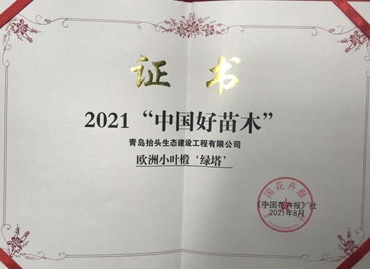 北美海棠,椴樹(shù),絢麗海棠,原冠元寶楓,原冠櫸樹(shù),叢生元寶楓 