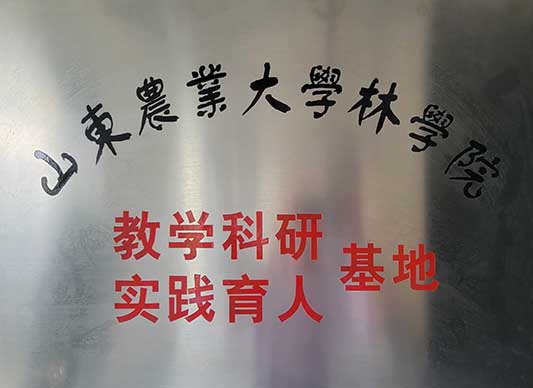 北美海棠,椴樹(shù),絢麗海棠,原冠元寶楓,原冠櫸樹(shù),叢生元寶楓 