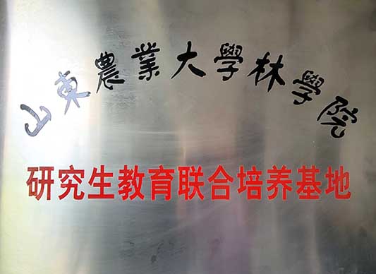 北美海棠,椴樹(shù),絢麗海棠,原冠元寶楓,原冠櫸樹(shù),叢生元寶楓 