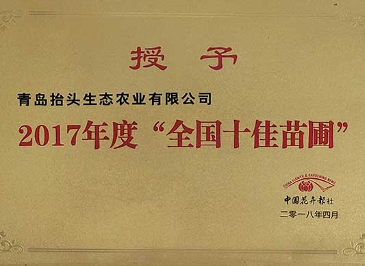 北美海棠,椴樹(shù),絢麗海棠,原冠元寶楓,原冠櫸樹(shù),叢生元寶楓 