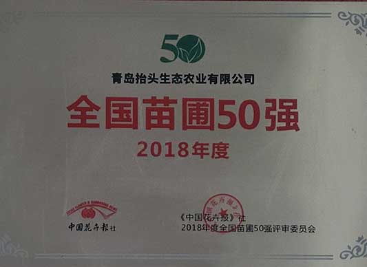 北美海棠,椴樹(shù),絢麗海棠,原冠元寶楓,原冠櫸樹(shù),叢生元寶楓 
